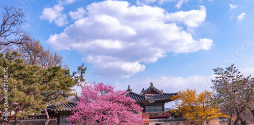 Changdeokgung Palace in Spring South Korea