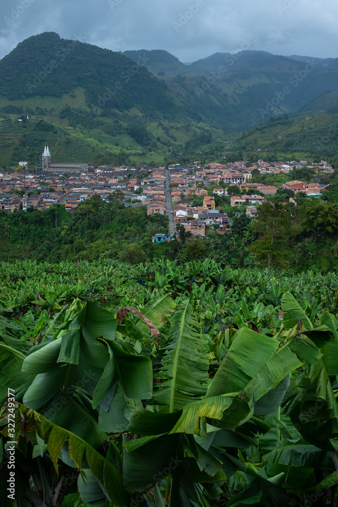 Fototapeta premium View of the City, Vegetation, Architecture, Land and Crops