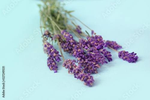 Fototapeta Naklejka Na Ścianę i Meble -  bouquet of fragrant lilac lavender on a blue background, festive concept, aromatherapy, close-up, copy space
