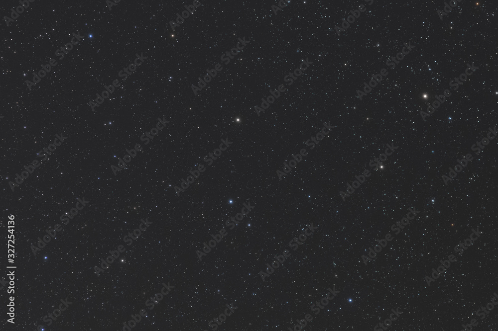 Fototapeta premium コップ座