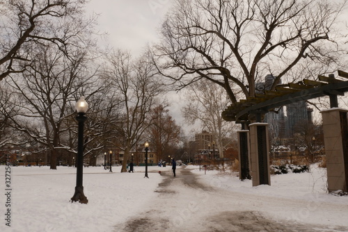 Evening in the park