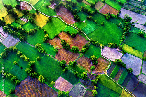 aerial view of rice fields in Mekong Delta, Tri Ton town, An Giang province, ...