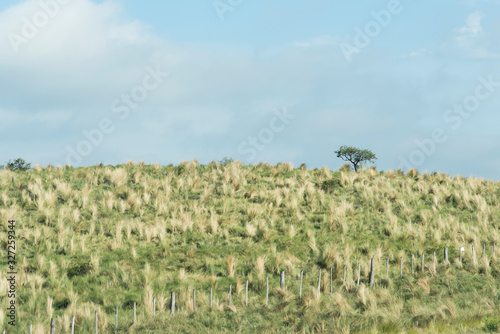 Summer landscape in Cordoba, Argentina photo