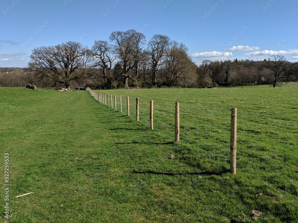 Fototapeta premium Fence On Right