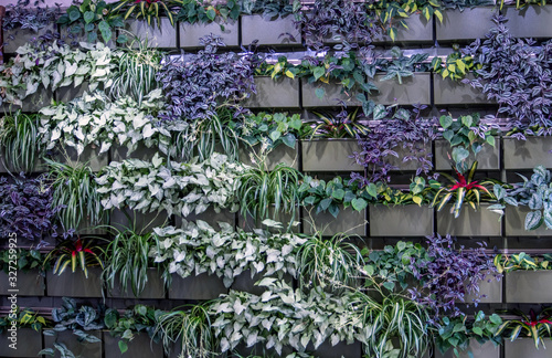 Canvas Print living plant wall in an atrium