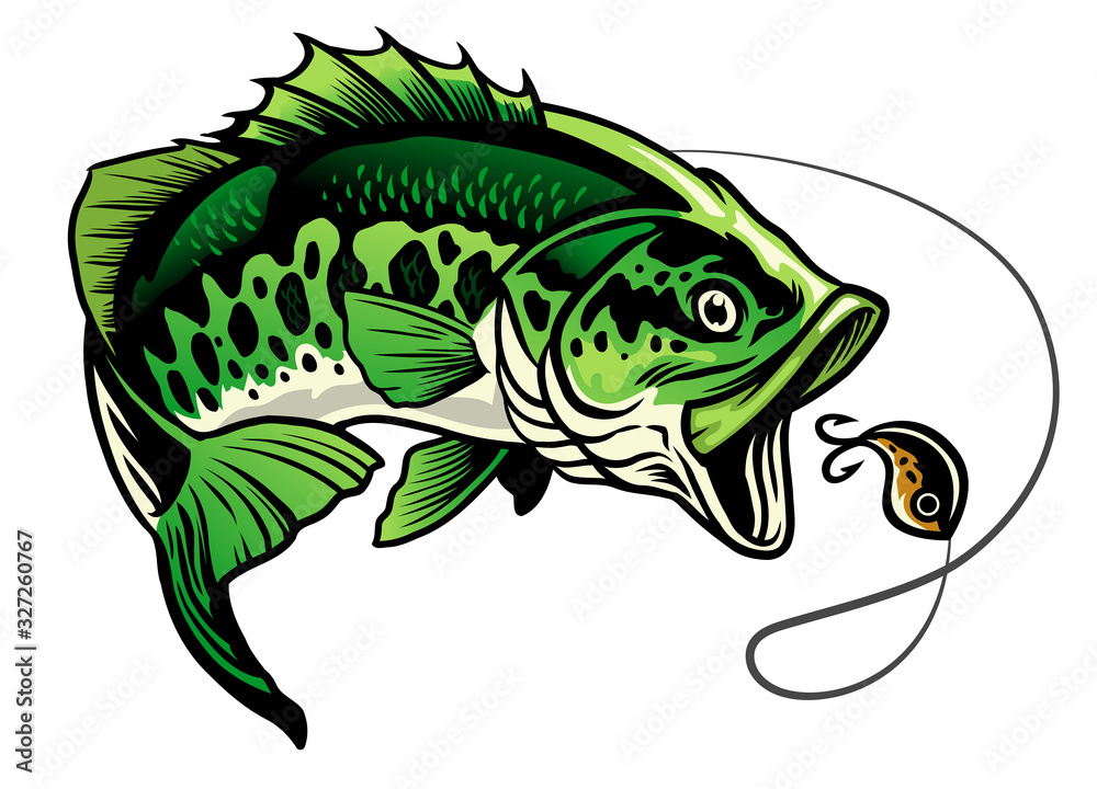 bass fish catcing the fishing lure