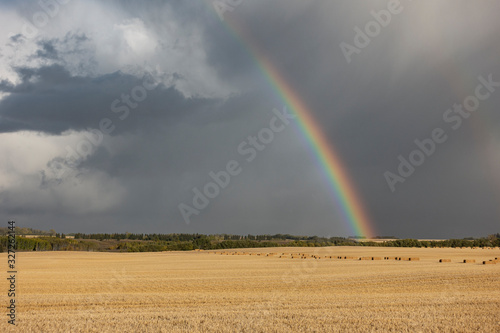 Wheat farm and rainbow