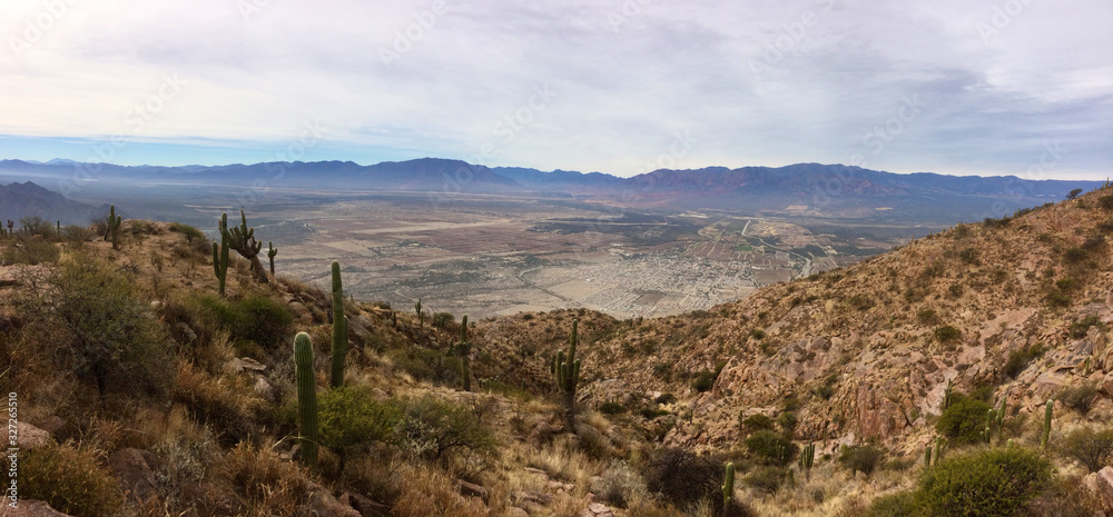 Panoramic desert mountain and cactus in North Argentina
