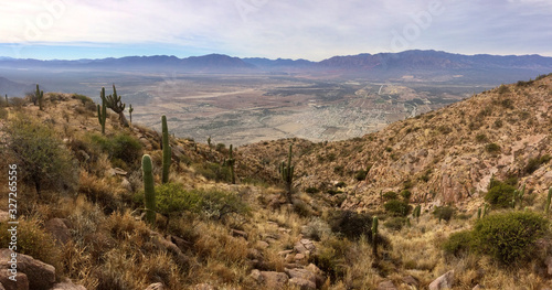 Panoramic desert mountain and cactus in North Argentina