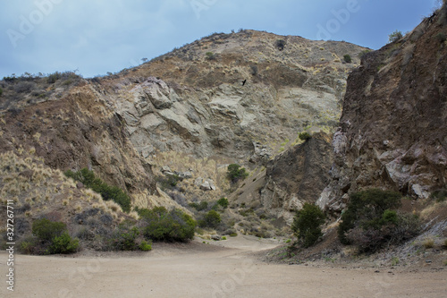 Fotografia, Obraz Griffith Park, Los Angeles, California