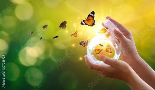 Billede på lærred The girl frees the butterfly from the jar, golden blue moment Concept of freedom