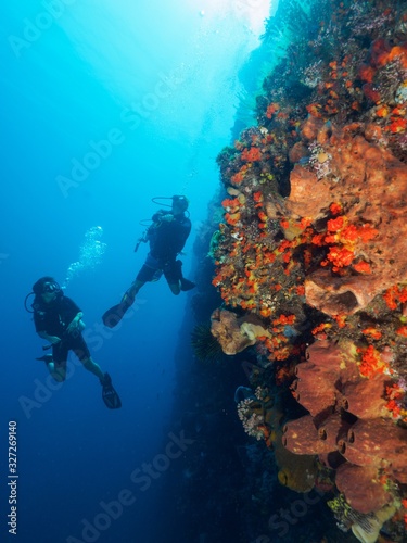 Divers beside the wall fully covered with soft corals photo