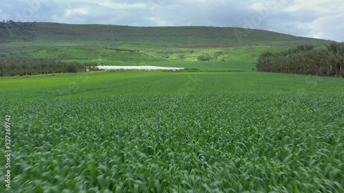 view of agricultural fields in Northern Israel. video shooting from a drone on a Sunny spring day.the camera moves quickly over the field