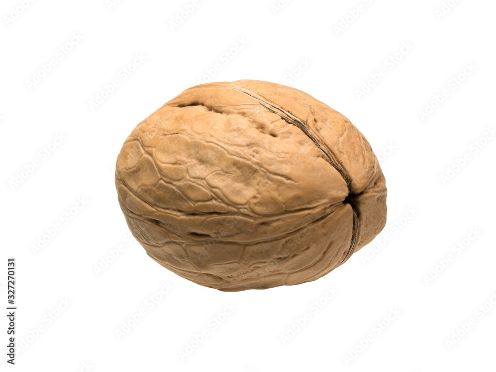 Closed ripe walnut isolated object Closed ripe walnut isolated object