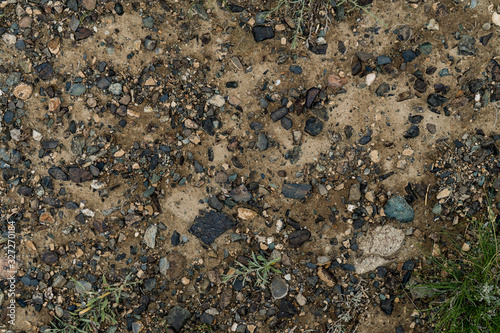 The texture of fine stone on the ground with grass and flowers. Background Image Macro Photography