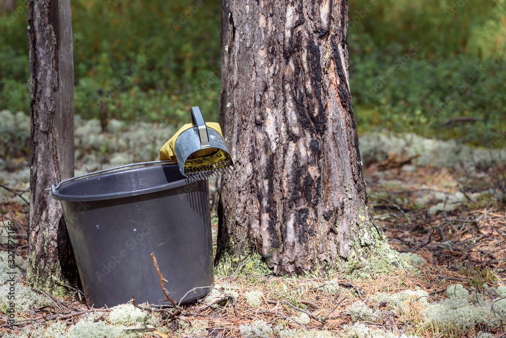 Handheld harvester scoop on bucket for quick picking berries in the forest. Handheld harvester scoop on bucket for quick picking berries in the forest.