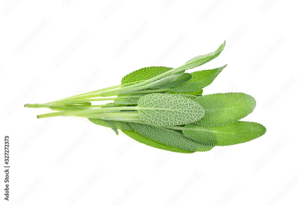 Top view of Sage herb isolated on white background
