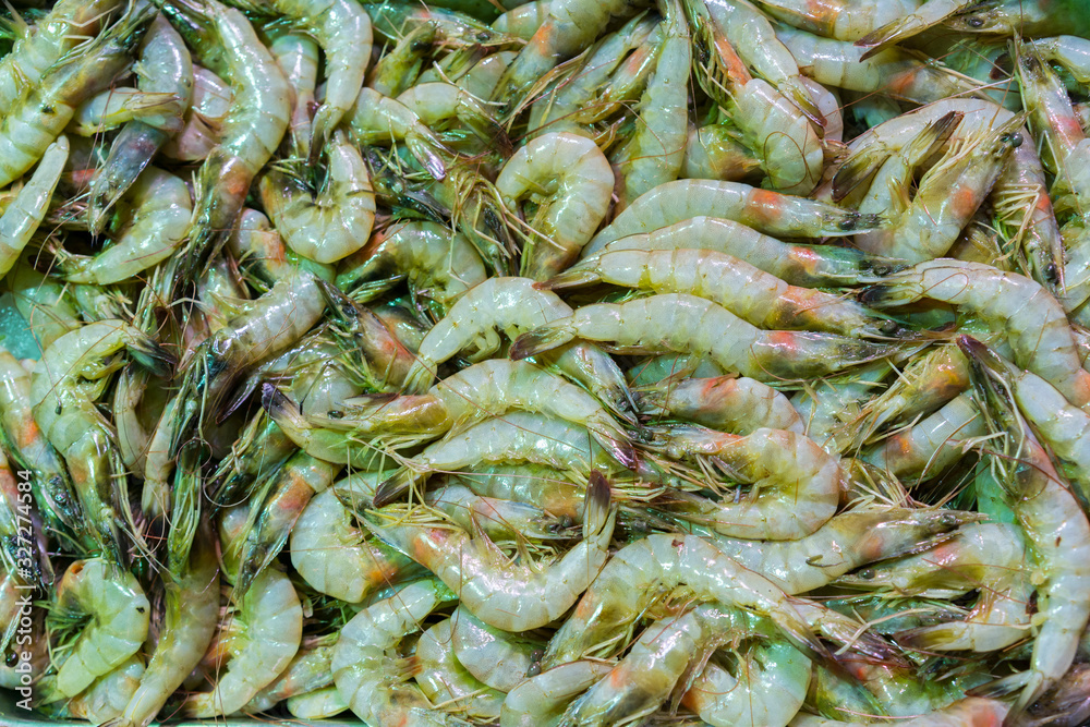 Tiger prawns in ice. Penaeus monodon, giant tiger prawn or Asian tiger shrimp. Freshly caught big king tiger prawns shrimp on ice displayed at a fish market Tiger prawns in ice. Penaeus monodon, giant tiger prawn or Asian tiger shrimp. Freshly caught big king tiger prawns shrimp on ice displayed at a fish market