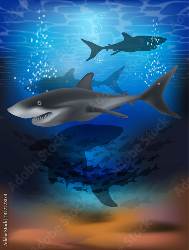  Underwater wallpaper with shark . vector illustration