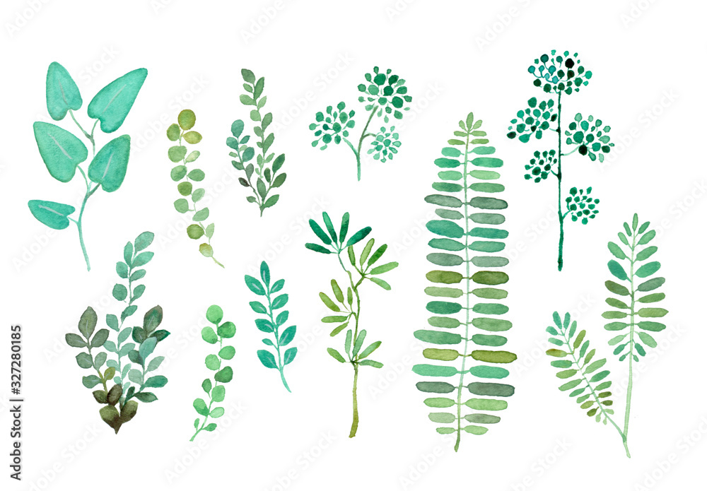 水彩 葉っぱ 植物 グリーン ナチュラル イラスト Stock Illustration Adobe Stock