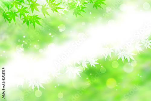 新緑をイメージした葉のシルエット（背景はグリーンのボケ） © imagefuji
