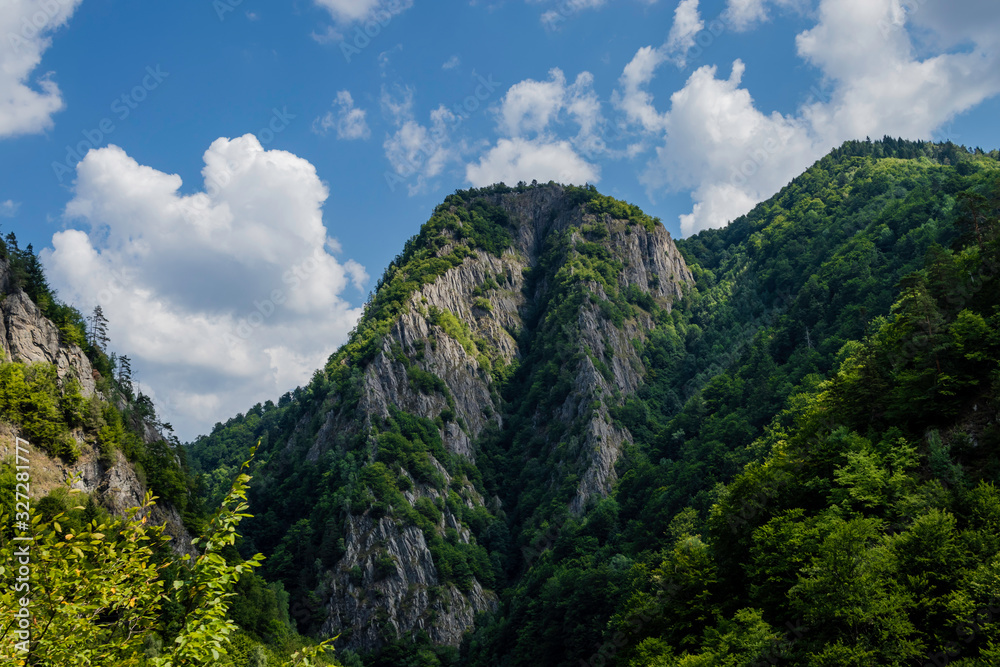 Mountains covered with green forest with puffy clouds in the background