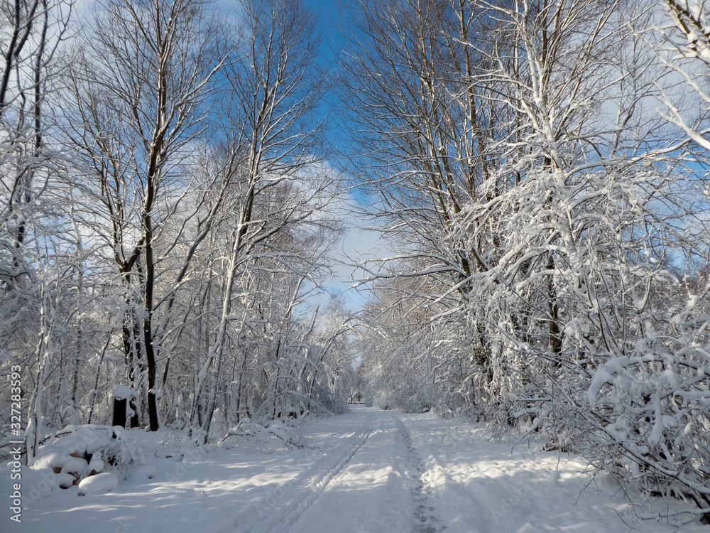 Fototapeta premium Winterlandschaft in der Eifel