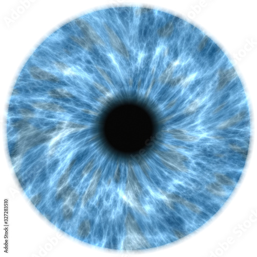  human eye iris