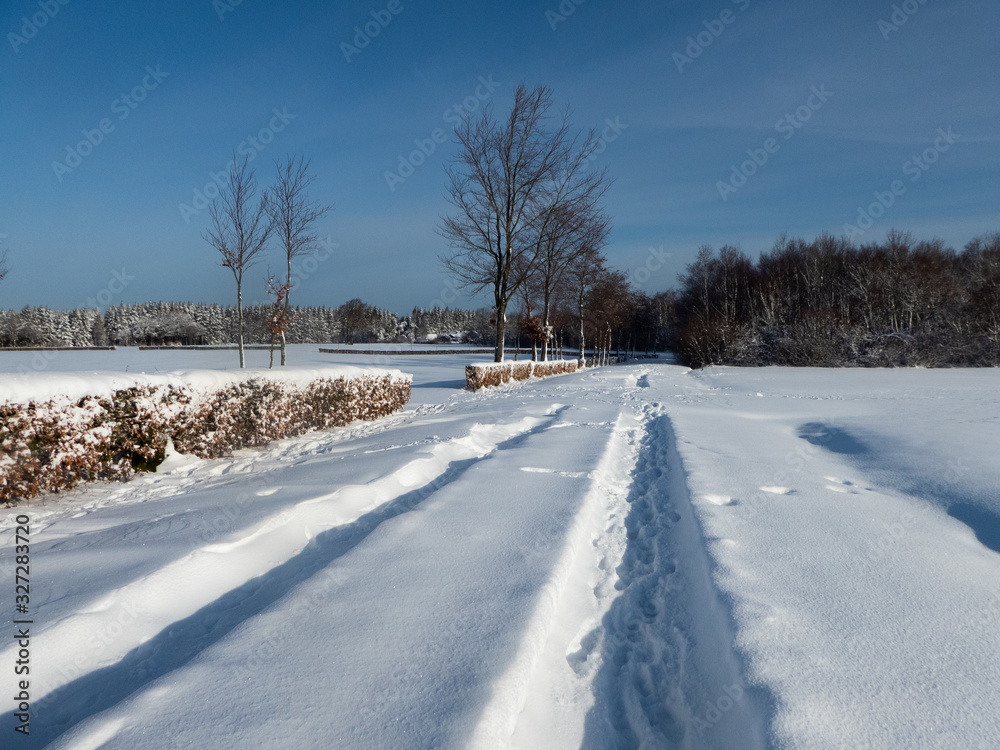Obraz premium Winterliche Heckenlandschaft in der Eifel
