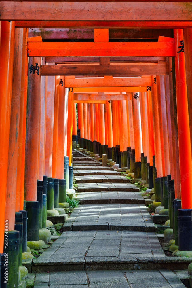 京都 伏見稲荷大社 美しい朱色の鳥居 (日本京都府京都市) Kyoto Fushimi Inari Taisha Shrine famous for beautiful vermilion torii gates (Kyoto City, Kyoto Prefecture, Japan) 京都 伏見稲荷大社 美しい朱色の鳥居 (日本京都府京都市) Kyoto Fushimi Inari Taisha Shrine famous for beautiful vermilion torii gates (Kyoto City, Kyoto Prefecture, Japan)