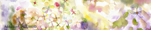 Watercolor hand-drawn. Panoramic horizontal view flower hydrangea tender purple white blue pink background with colored splashes.