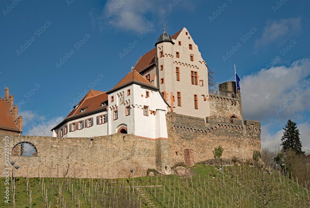 Die Burg Alzenau in Unterfranken, Bayern, Deutschland 