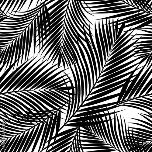 Black and white tropical palm leaves texture