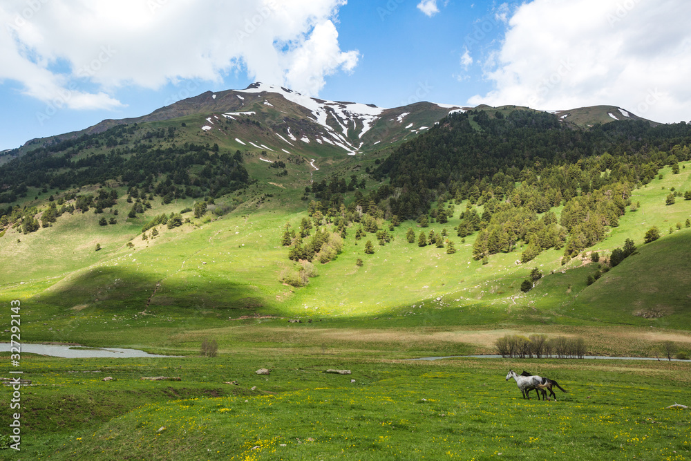 Caucasus Mountains spring landscape. Karachay-Cherkessia, Russia