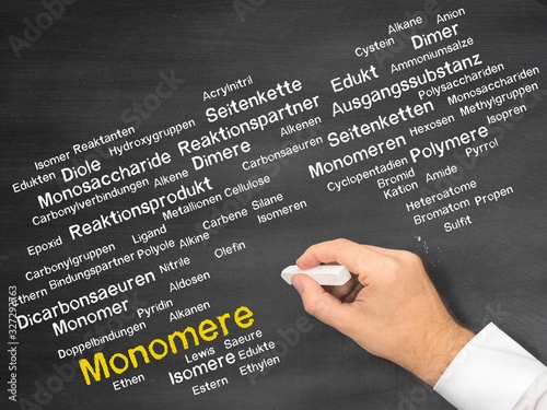 Картината върху платно Monomere