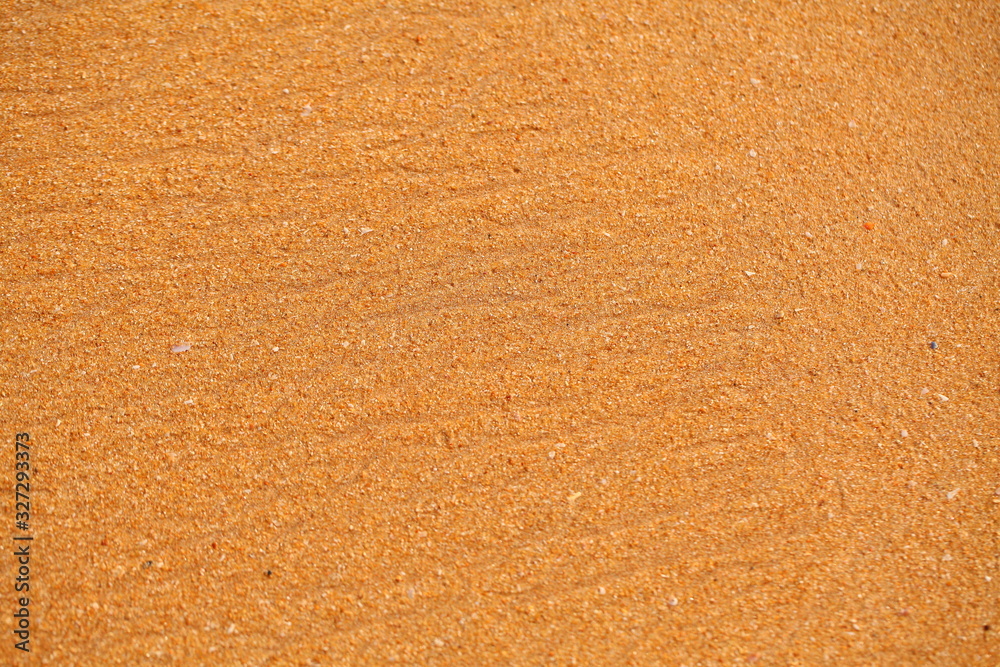 foam on sandy tropical ocean beach foam on sandy tropical ocean beach