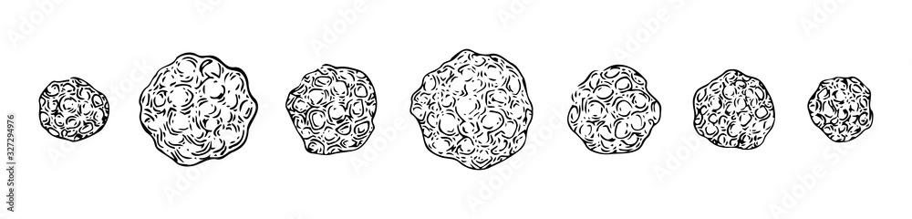Set of hand drawn verrucosa amoebas. Sketch outline microbiology illustration, black isolated vector on white background