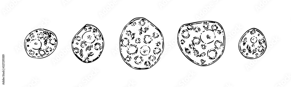 Set of hand drawn dysentery amoebas. Sketch outline microbiology illustration, black isolated vector on white background