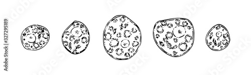 Set of hand drawn dysentery amoebas. Sketch outline microbiology illustration, black isolated vector on white background