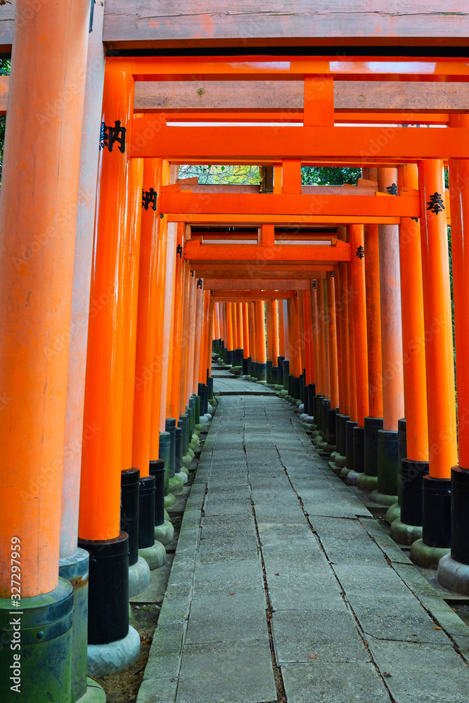 京都 伏見稲荷大社 美しい朱色の鳥居(日本京都府京都市) Kyoto Fushimi Inari Taisha Shrine famous for beautiful vermilion torii gates (Kyoto City, Kyoto Prefecture, Japan) 京都 伏見稲荷大社 美しい朱色の鳥居(日本京都府京都市) Kyoto Fushimi Inari Taisha Shrine famous for beautiful vermilion torii gates (Kyoto City, Kyoto Prefecture, Japan)
