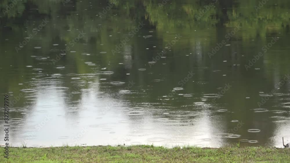 Rain in Mazurino Park