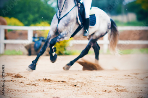 A blurry image with selective focus of the legs of a spotted gray horse galloping across a sandy arena, kicking up dust with its hooves.