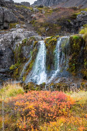 Westfjords of Iceland Göngummanafoss and Dynjandi waterfall red colored bush during autumn in front of small side arm
