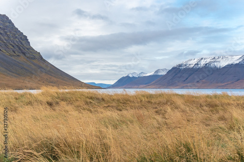 Westfjords of Iceland view into fjord and snow covered mountain tops behind meadow during autumn