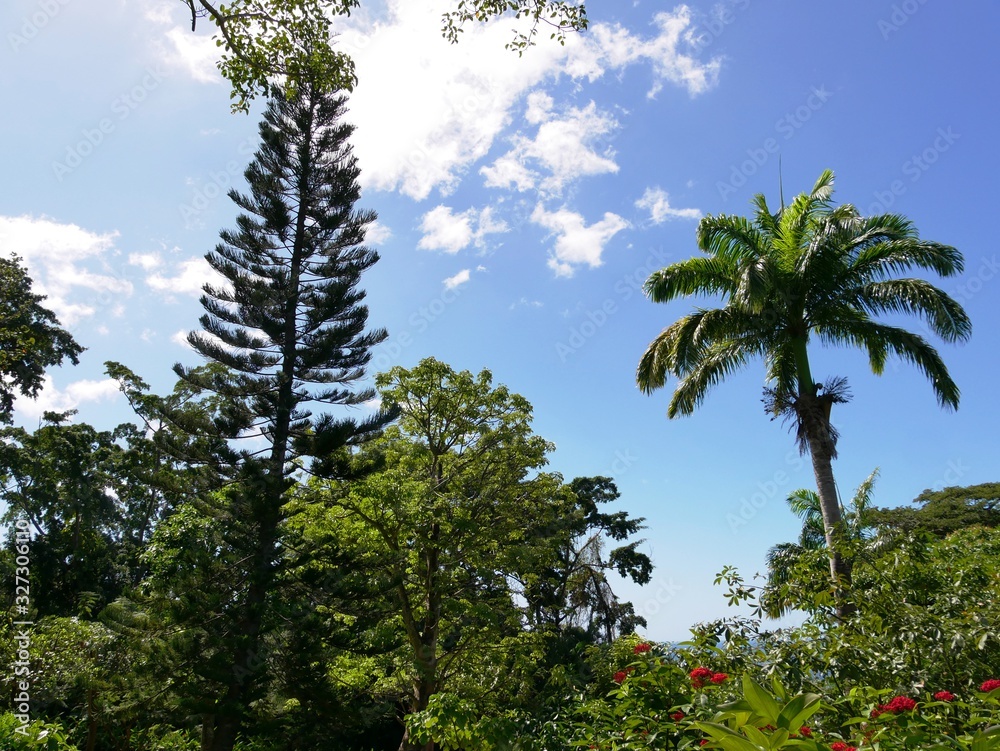 Jardin botanique de Deshaies sur la Basse-Terre en Guadeloupe