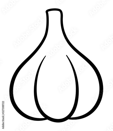 Isolated garlic in black lines on white background