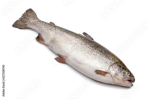 Fresh salmon fish isolated on white