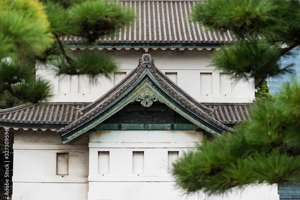 Traditional Japanese style architecture with green pine trees on the foreground