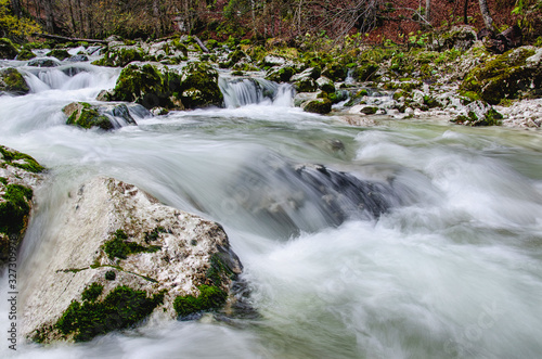 Fototapeta Naklejka Na Ścianę i Meble -  Beautiful white wild river, Sava with stones Slovenia