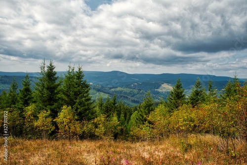 Fototapeta Naklejka Na Ścianę i Meble -  Aussicht vom Kickelhahn im Thüringer Wald Deutschland